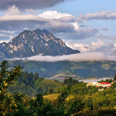 Casa Cristalul Muntilor Hotel Poiana Mărului Екстериор снимка