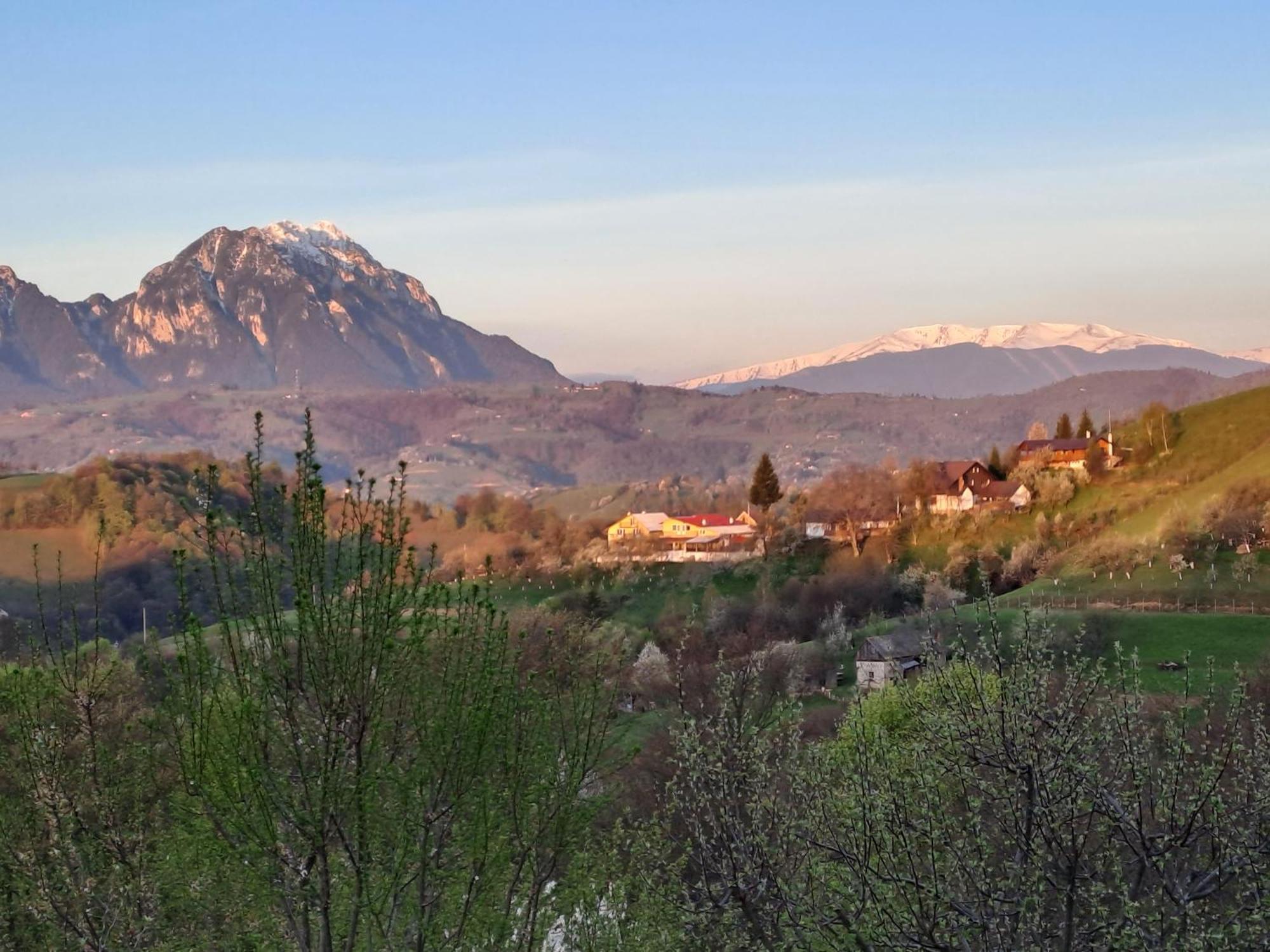 Casa Cristalul Muntilor Hotel Poiana Mărului Екстериор снимка