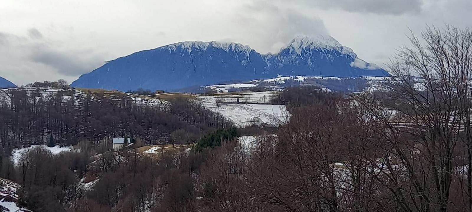 Casa Cristalul Muntilor Hotel Poiana Mărului Екстериор снимка