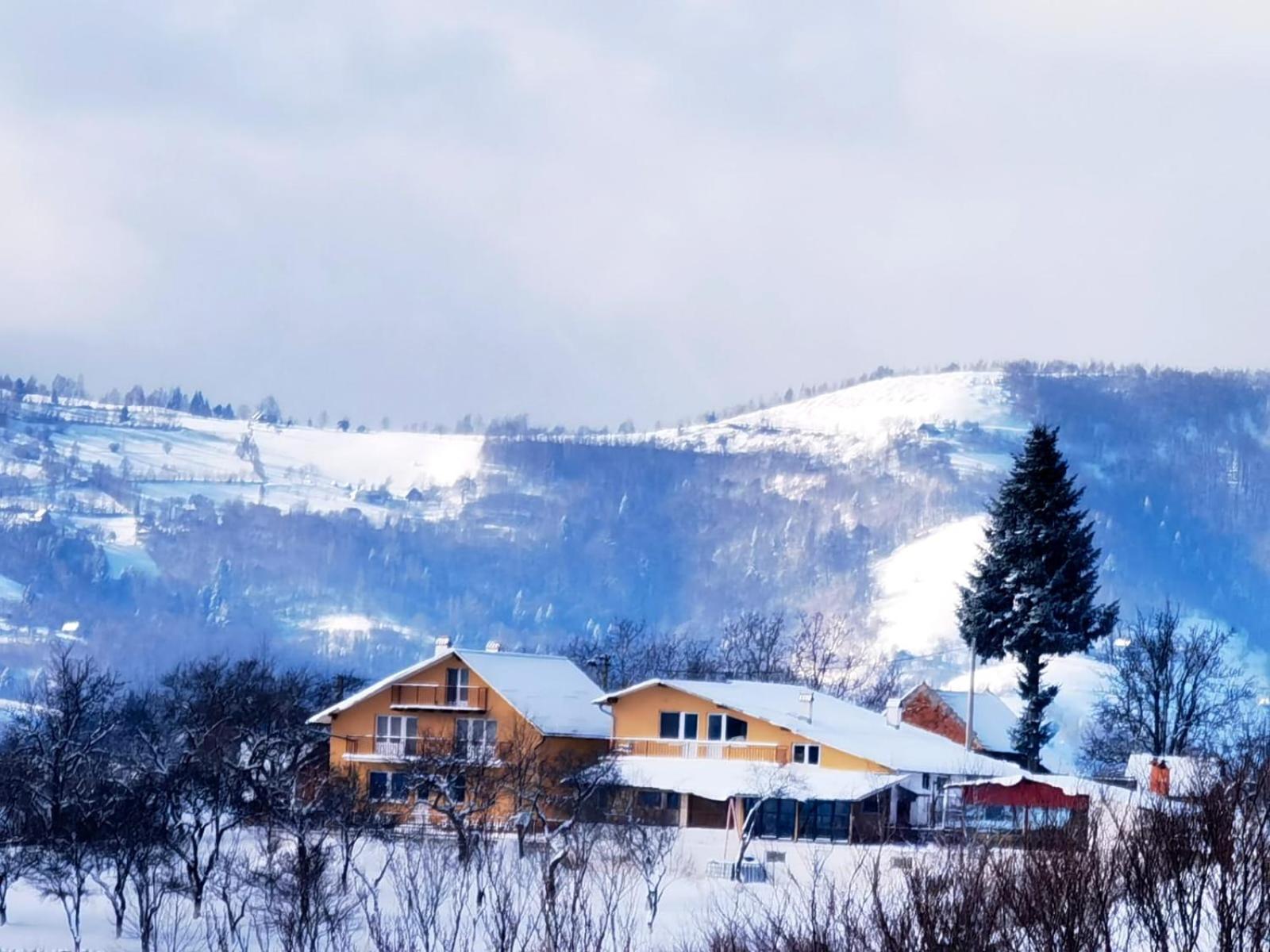 Casa Cristalul Muntilor Hotel Poiana Mărului Екстериор снимка