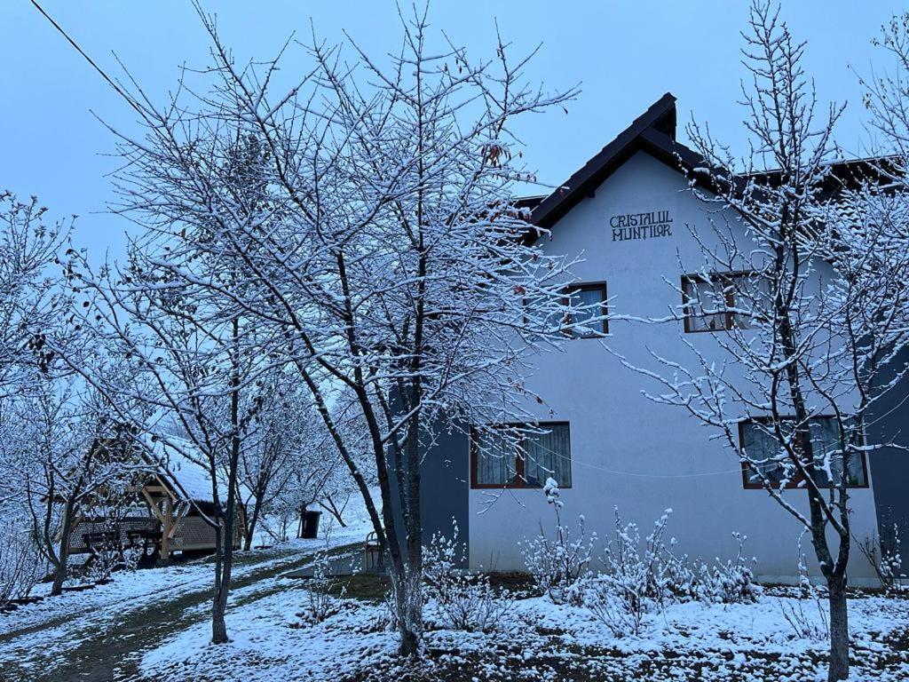 Casa Cristalul Muntilor Hotel Poiana Mărului Екстериор снимка