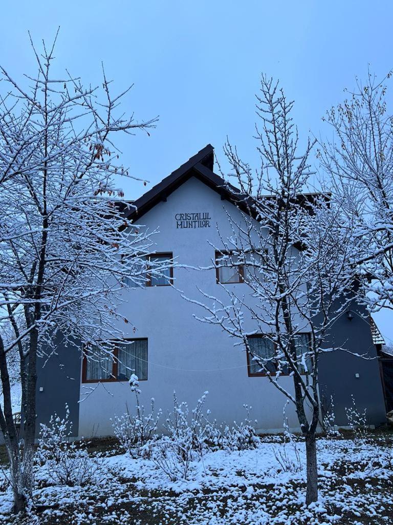 Casa Cristalul Muntilor Hotel Poiana Mărului Екстериор снимка