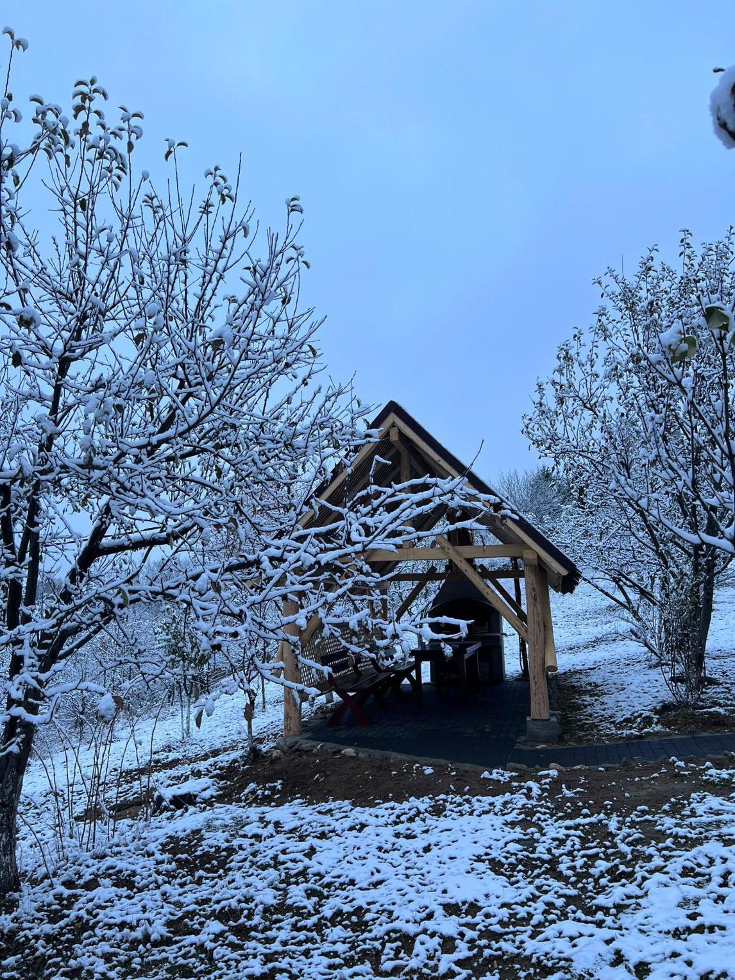 Casa Cristalul Muntilor Hotel Poiana Mărului Екстериор снимка