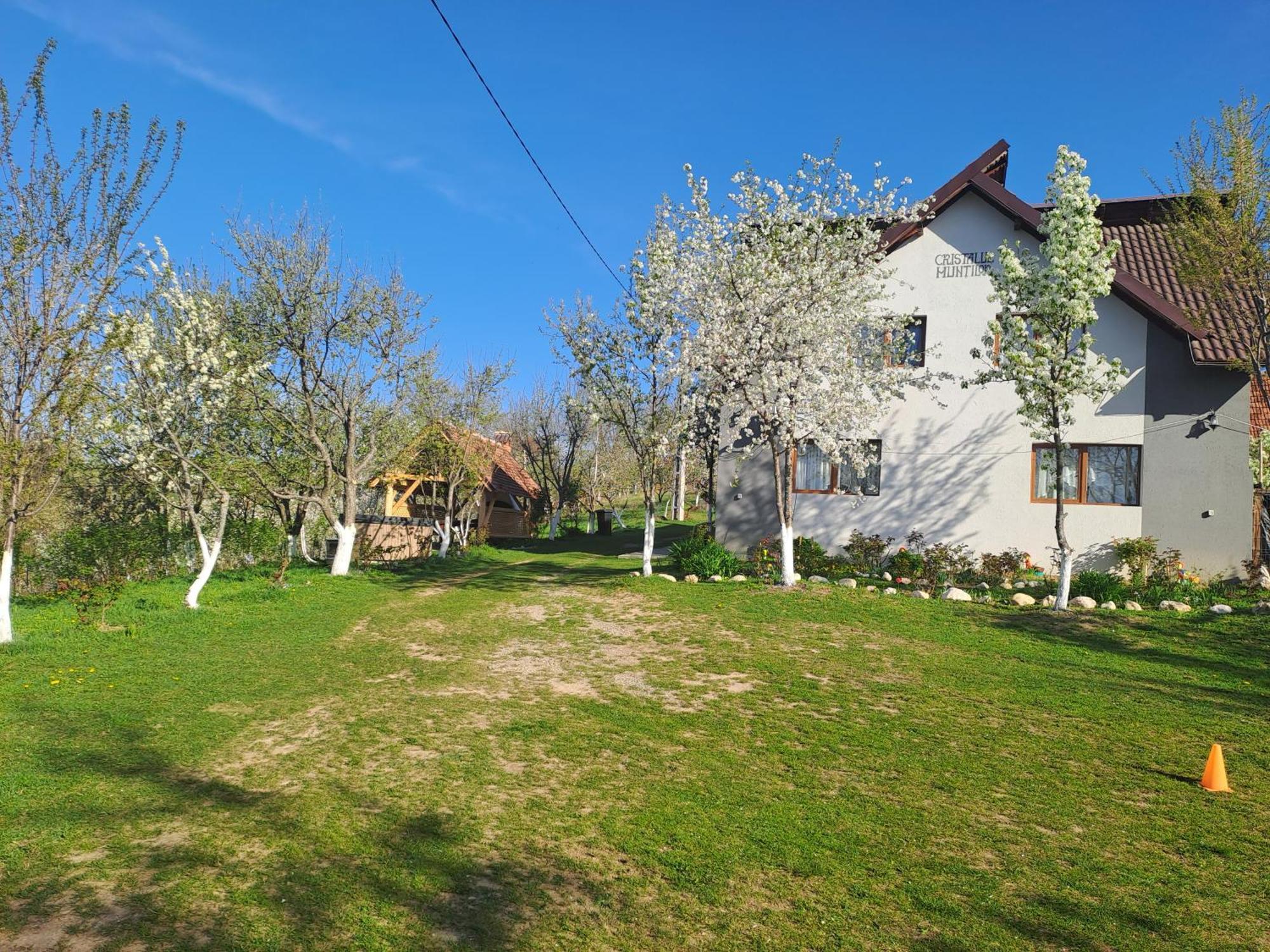 Casa Cristalul Muntilor Hotel Poiana Mărului Екстериор снимка
