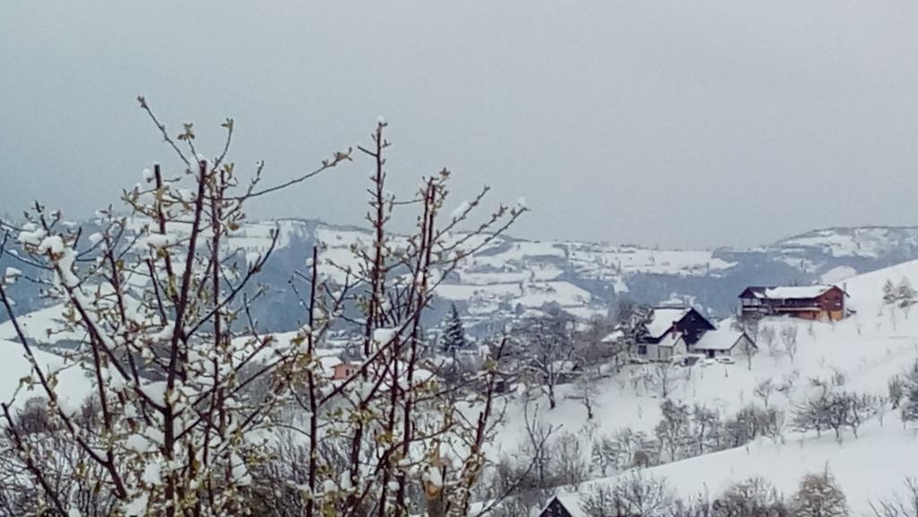 Casa Cristalul Muntilor Hotel Poiana Mărului Екстериор снимка