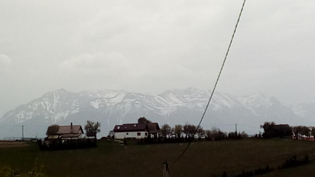 Casa Cristalul Muntilor Hotel Poiana Mărului Екстериор снимка
