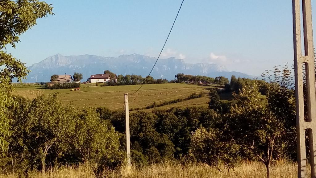 Casa Cristalul Muntilor Hotel Poiana Mărului Екстериор снимка