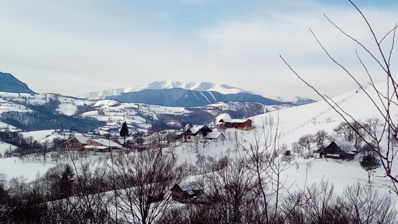 Casa Cristalul Muntilor Hotel Poiana Mărului Екстериор снимка