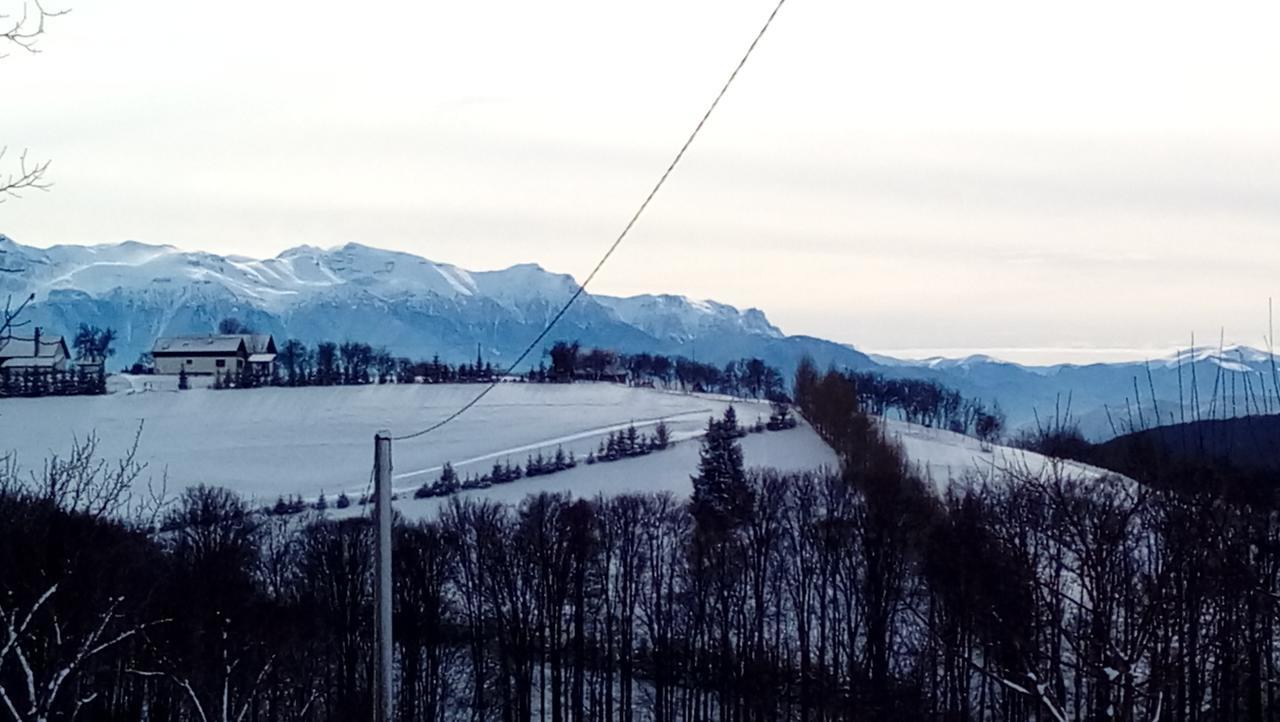 Casa Cristalul Muntilor Hotel Poiana Mărului Екстериор снимка