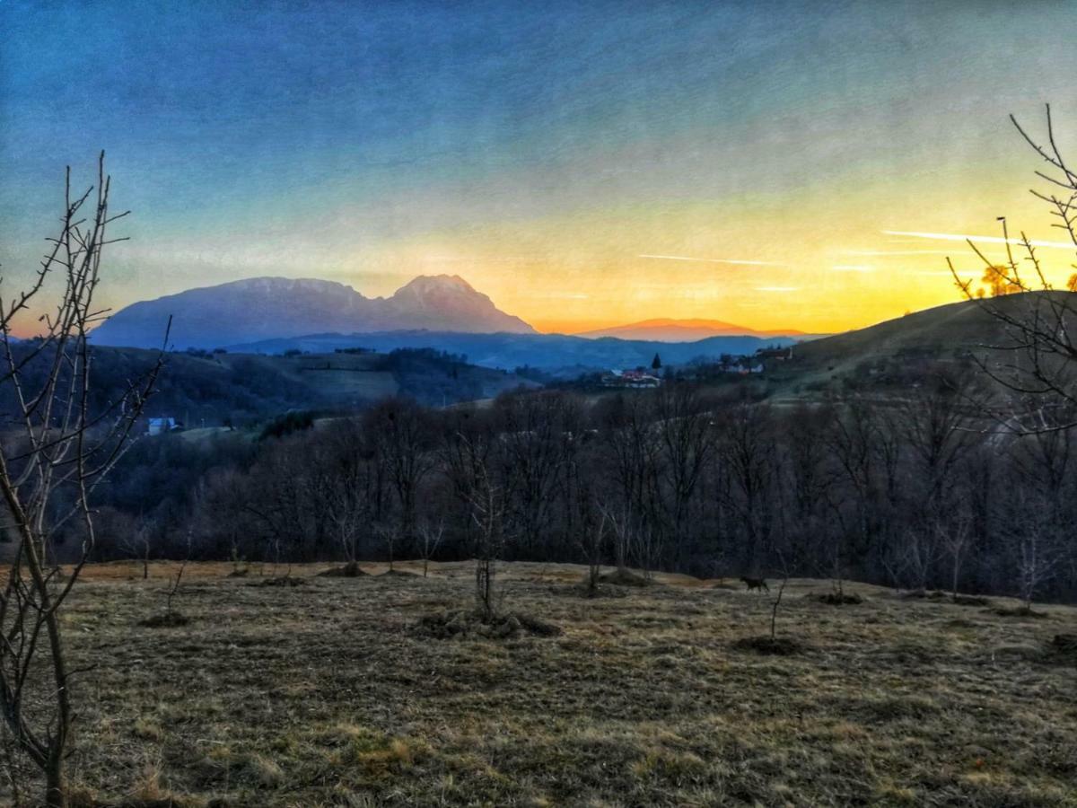 Casa Cristalul Muntilor Hotel Poiana Mărului Екстериор снимка
